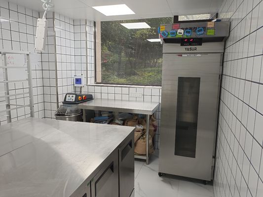 Yasur 40 Behälter erreichen in der Art Wäsche-Art Dampfer-Generator Pizza-Teig Proofer 40X60cm Luft-2kw