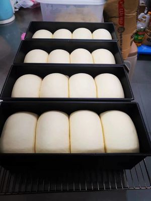Yasur 40 Behälter erreichen in der Art Wäsche-Art Dampfer-Generator Pizza-Teig Proofer 40X60cm Luft-2kw