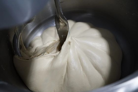 Der Doppelgeschwindigkeits-12.5kg Knetmaschine Spiralen-Pizza-Knetmaschine-einzelne des Motor25kg
