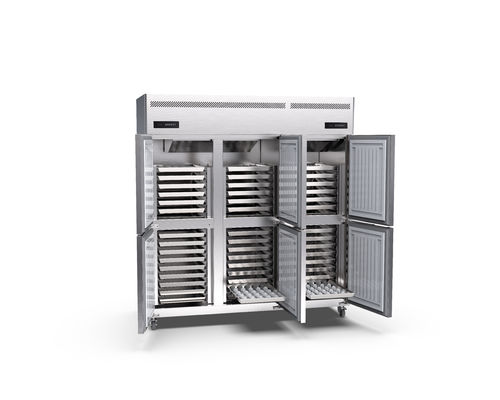 850w große kommerzielle aufrechte Tür-aufrechter Gefrierschrank des Gefrierschrank-45 der Behälter-220v 6