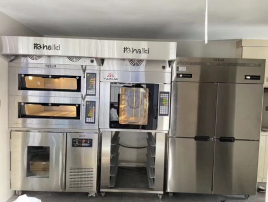 850w große kommerzielle aufrechte Tür-aufrechter Gefrierschrank des Gefrierschrank-45 der Behälter-220v 6